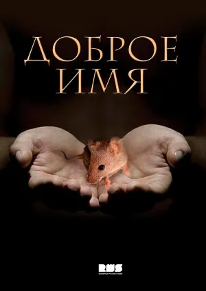 Доброе имя (сериал 2014)