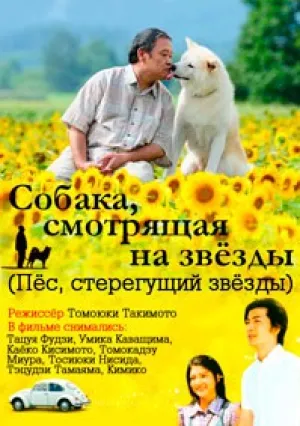 Пёс, смотрящий на звезды (2011)