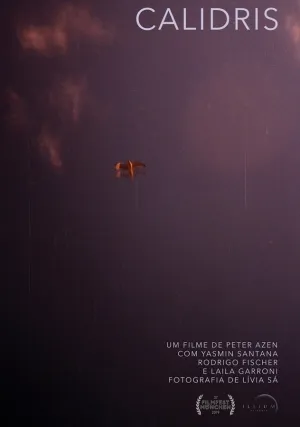 Песочник (2019)