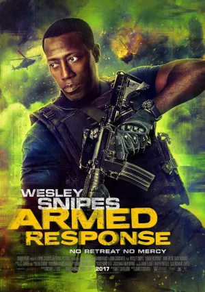 Вооружённый ответ (2017)
